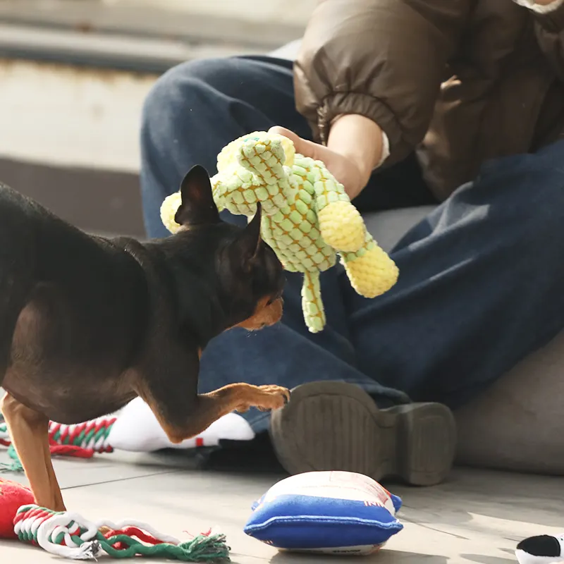 Quietschendes Spielzeugtier für Hunde