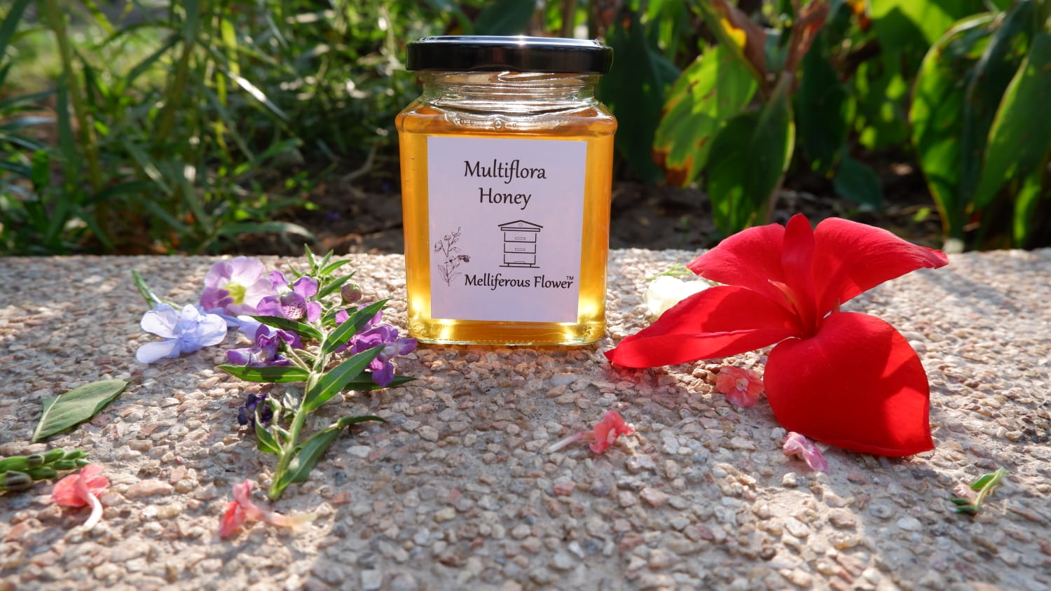 Multiflora Honey