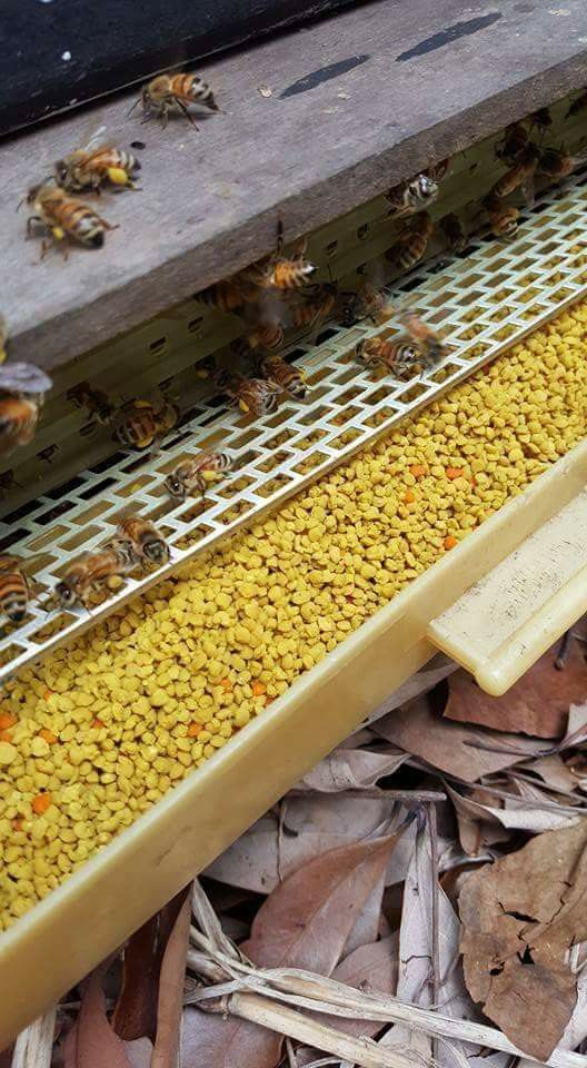 Multiflora Bee Pollen