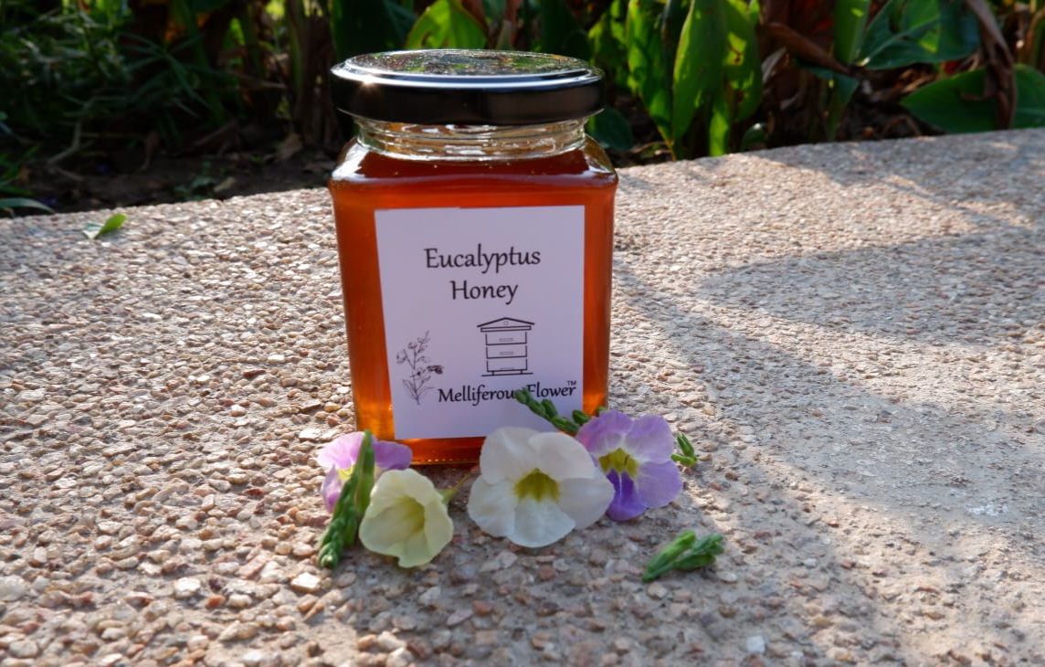 Eucalyptus Honey