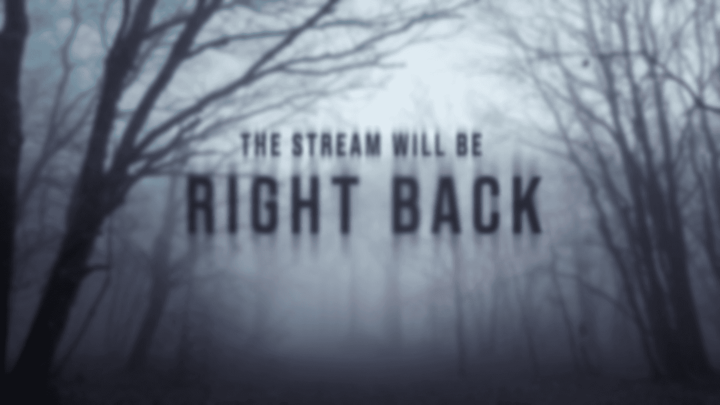 Enchanted Foggy Forest Stream Overlay – Mystical Stream Template for Twitch, OBS, YouTube