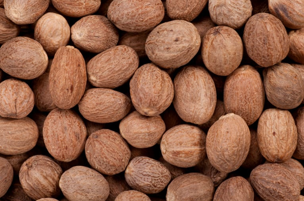 Lampung Nutmeg and Mace (Myristica fragrans) | Export Grade