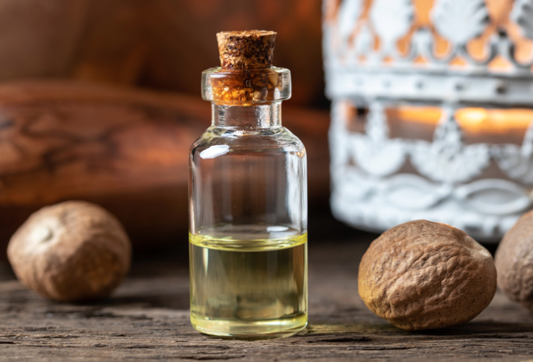 Lampung Essential Oils | Candlenut Oil and Nutmeg Essential Oil (Export Grade)