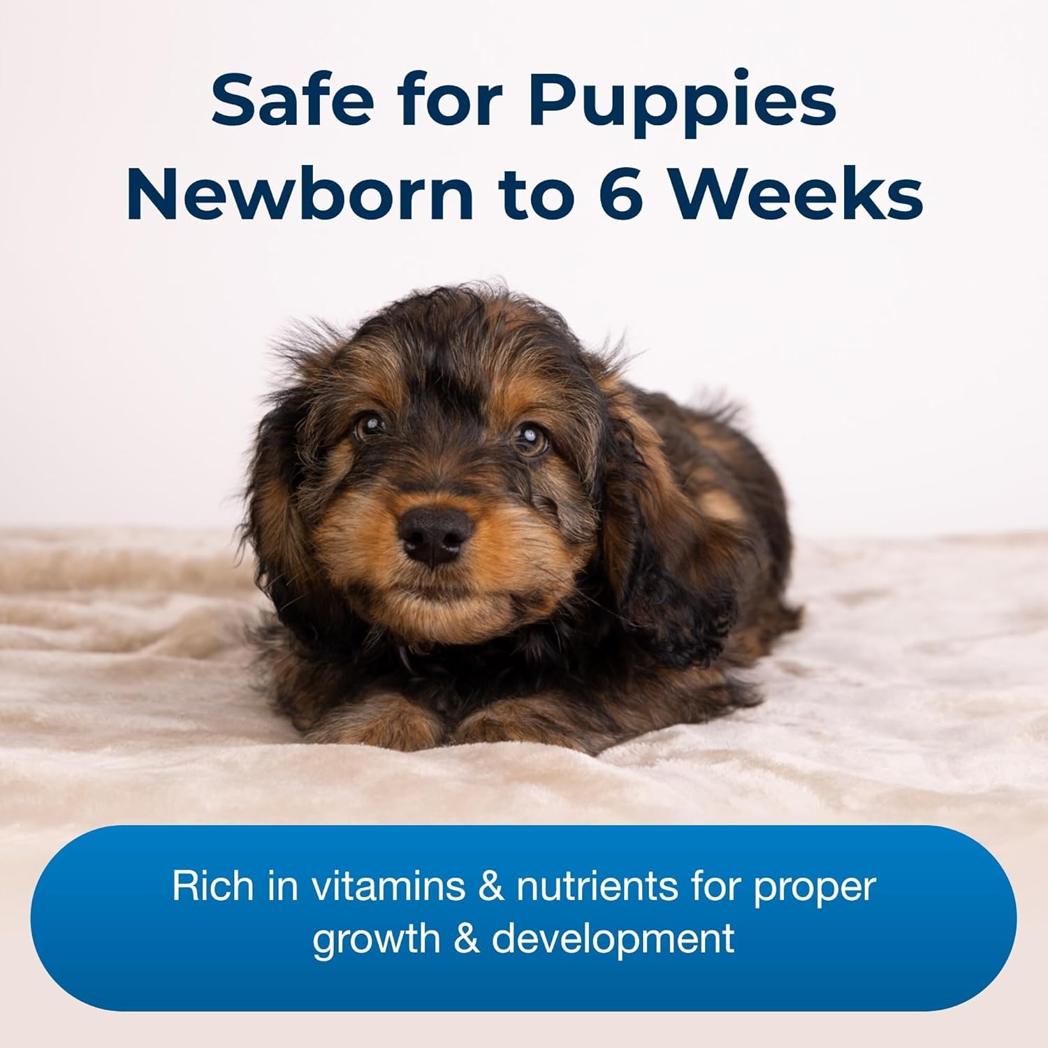 Pet-Ag Esbilac Puppy Milk Replacer Powder - 12 oz - Powdered Puppy Formula with Prebiotics, Probiotics & Vitamins for Puppies Newborn to Six Weeks Old - Easy to Digest