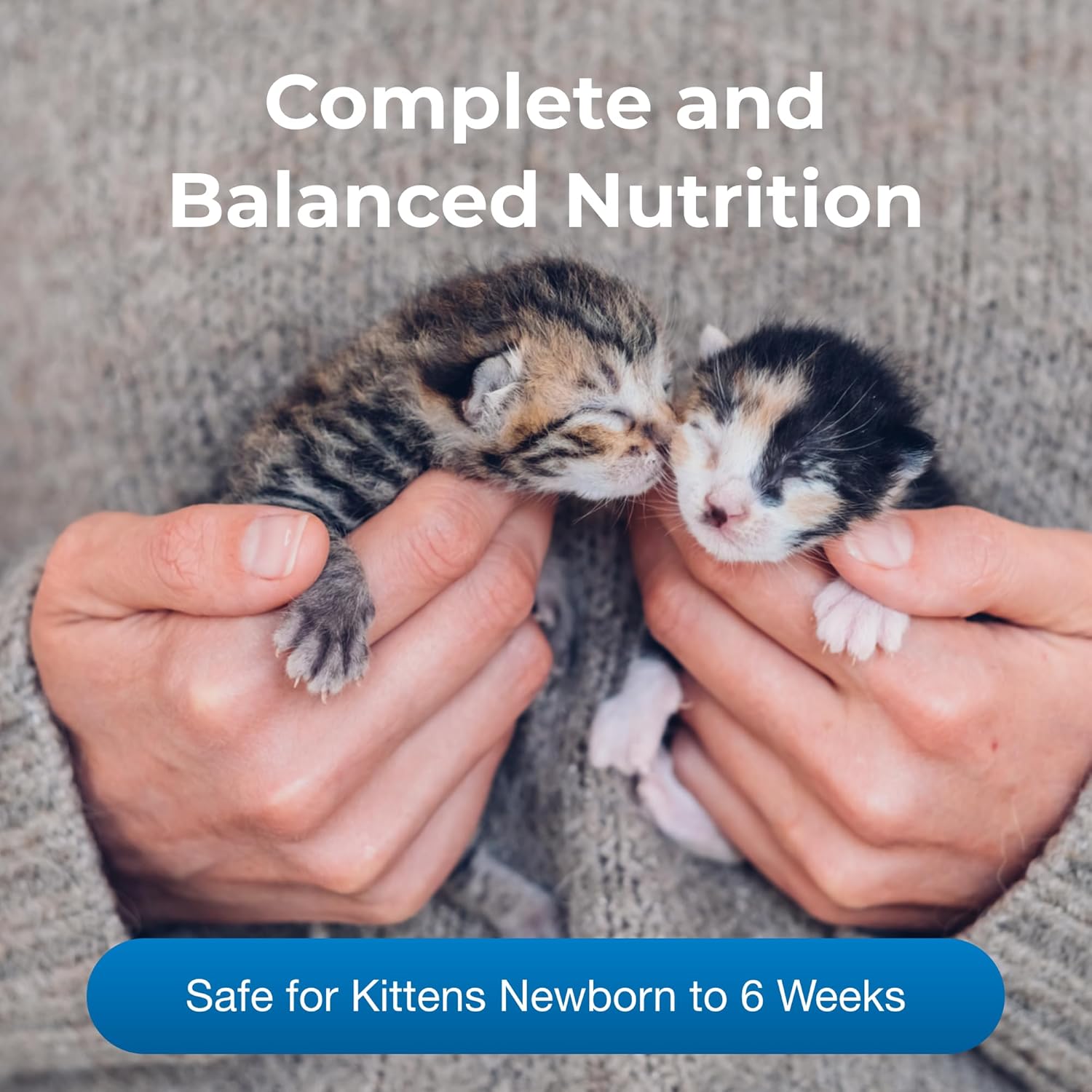Pet-Ag PetLac Powder for Kittens - 10.5 oz, Kitten Milk Replacement Powder for Kittens Newborn to Six Weeks Old - Easy to Digest