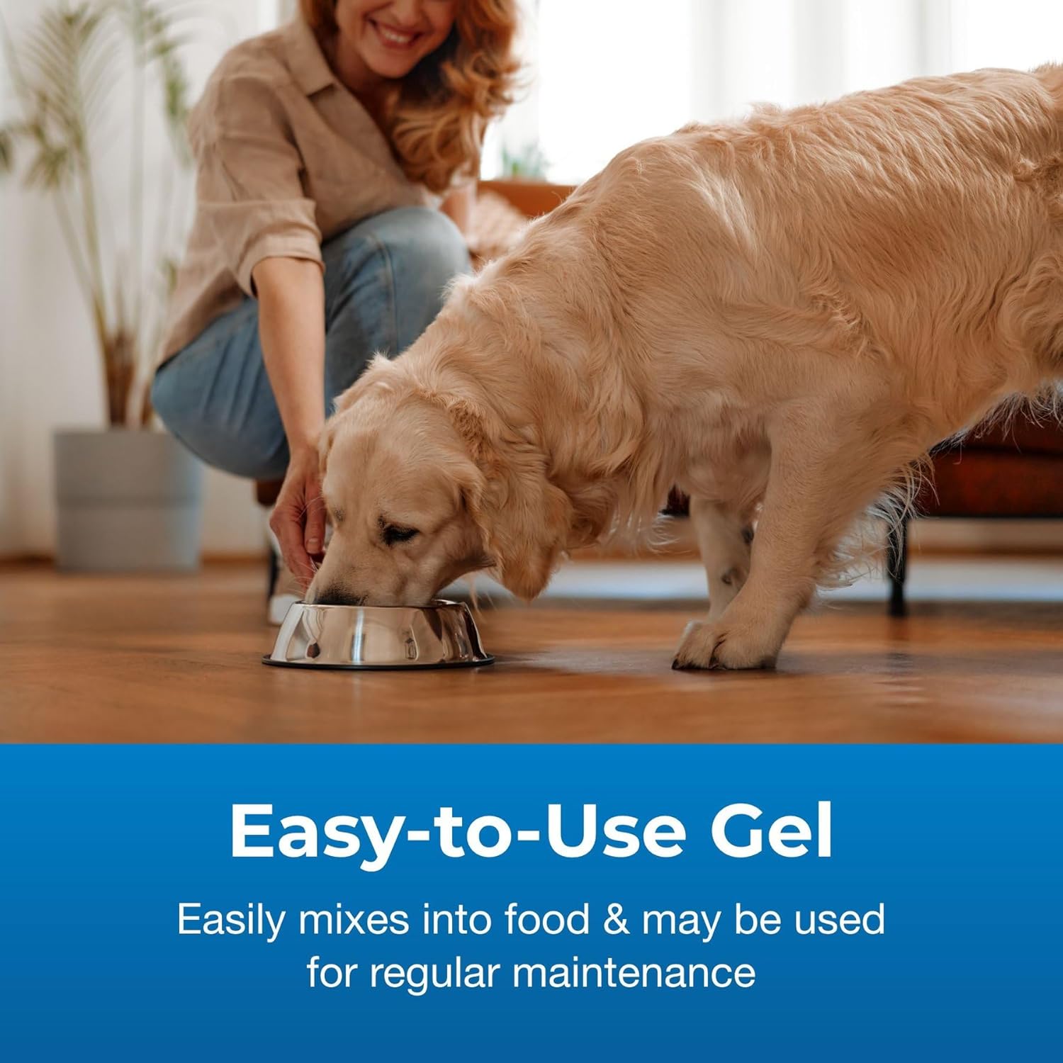 PetAg Bene-Bac Plus Pet Gel - 15 g Carded Syringe - FOS & Probiotics for Dogs, Cats, Exotic & Wildlife Mammals