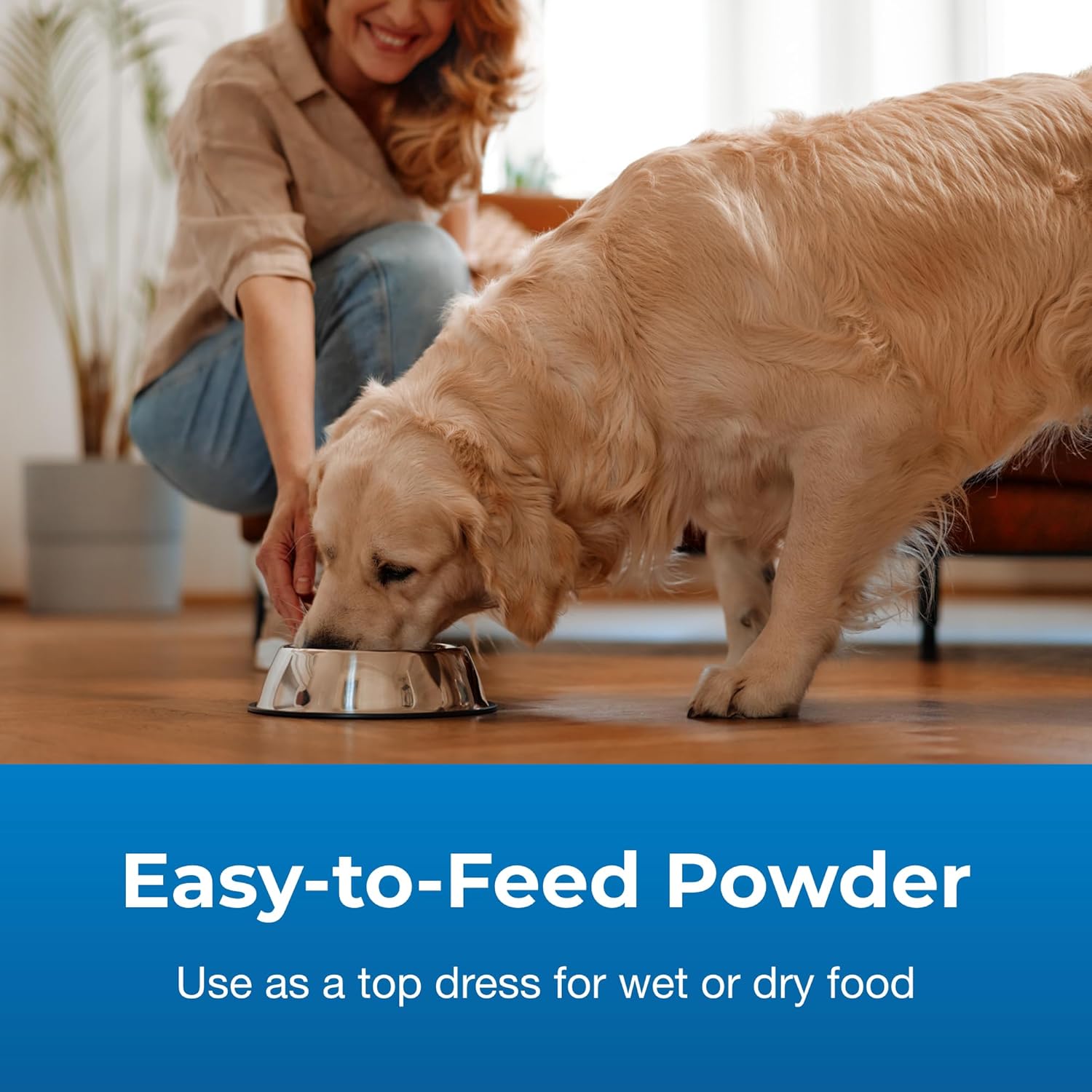 Pet-Ag Bene-Bac 9-10 oz Powder - Prebiotic and Probiotic Supplement for Dogs 12 Weeks and Older - Provides Nine Multifunctional Benefits