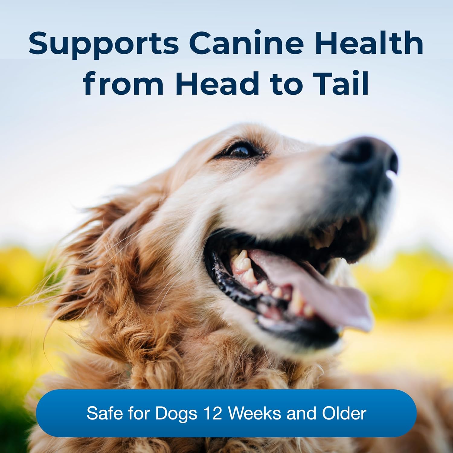 Pet-Ag Bene-Bac 9-10 oz Powder - Prebiotic and Probiotic Supplement for Dogs 12 Weeks and Older - Provides Nine Multifunctional Benefits