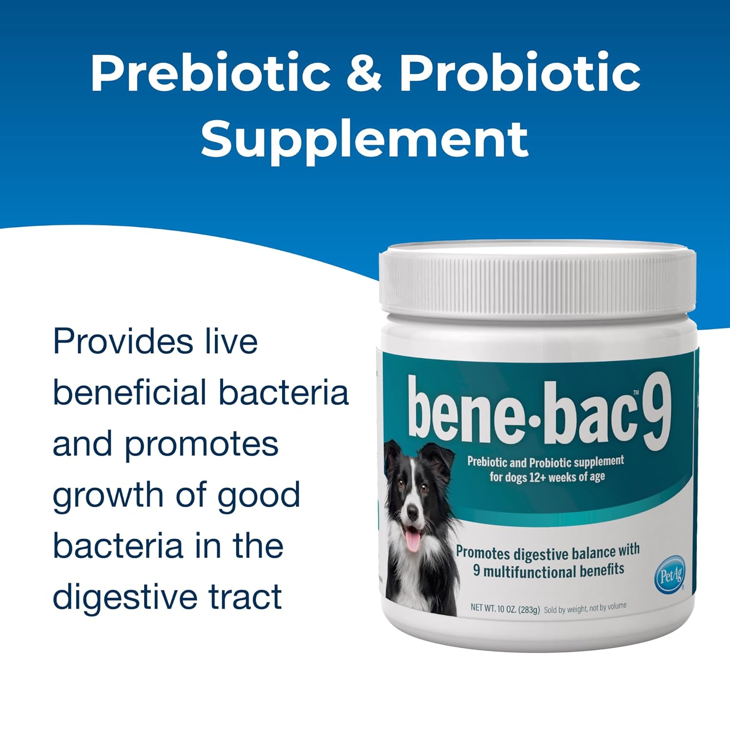 Pet-Ag Bene-Bac 9-10 oz Powder - Prebiotic and Probiotic Supplement for Dogs 12 Weeks and Older - Provides Nine Multifunctional Benefits