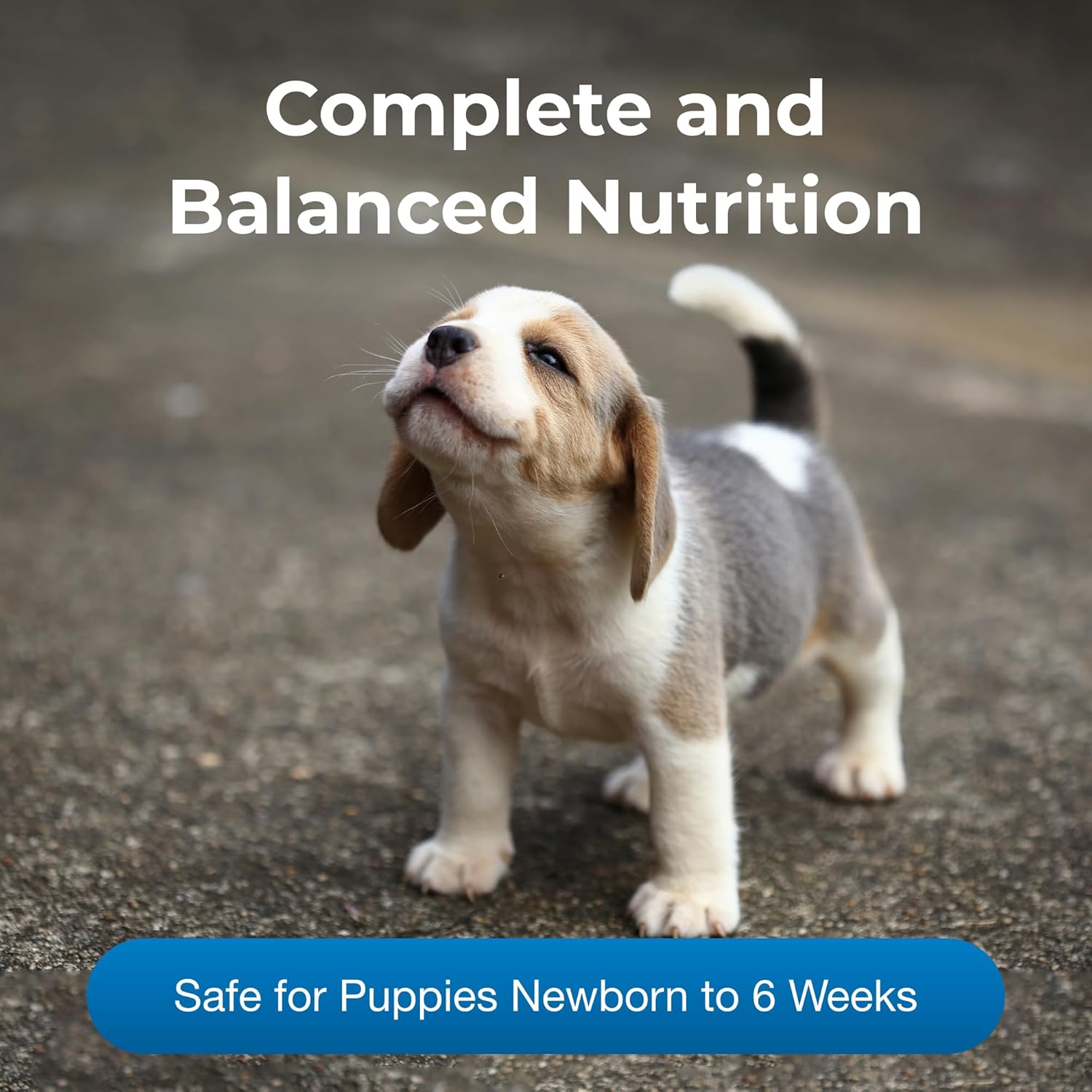 Pet-Ag PetLac Powder for Puppies - 10.5 oz, Puppy Milk Replacement Powder for Puppies Newborn to Six Weeks Old - Easy to Digest