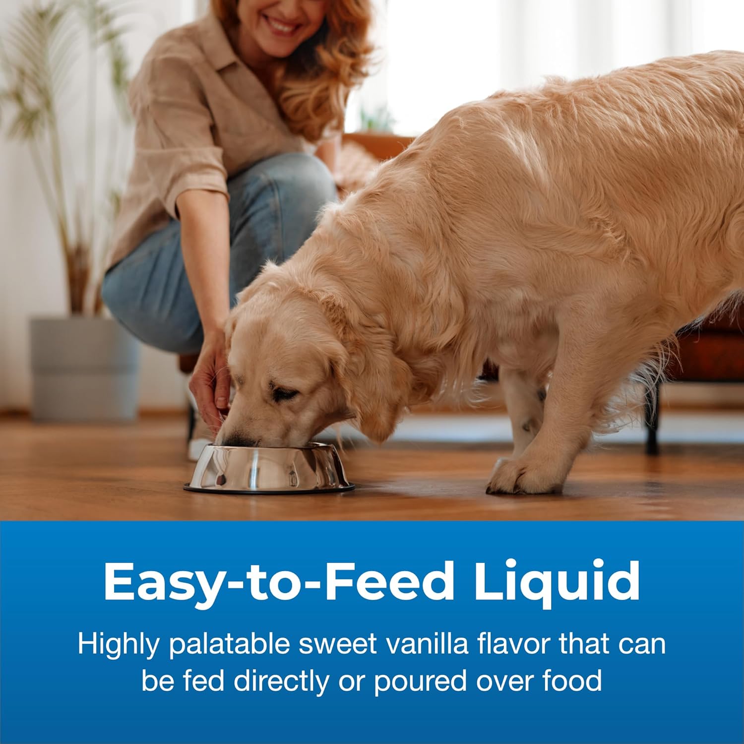 PetAg Dyne PRO HG Healthy Gut for Dogs & Puppies 8 Weeks & Older 32 oz | High Calorie Liquid Nutritional Supplement with Pre- & Post-Biotics | Supports Endurance & Gut Health