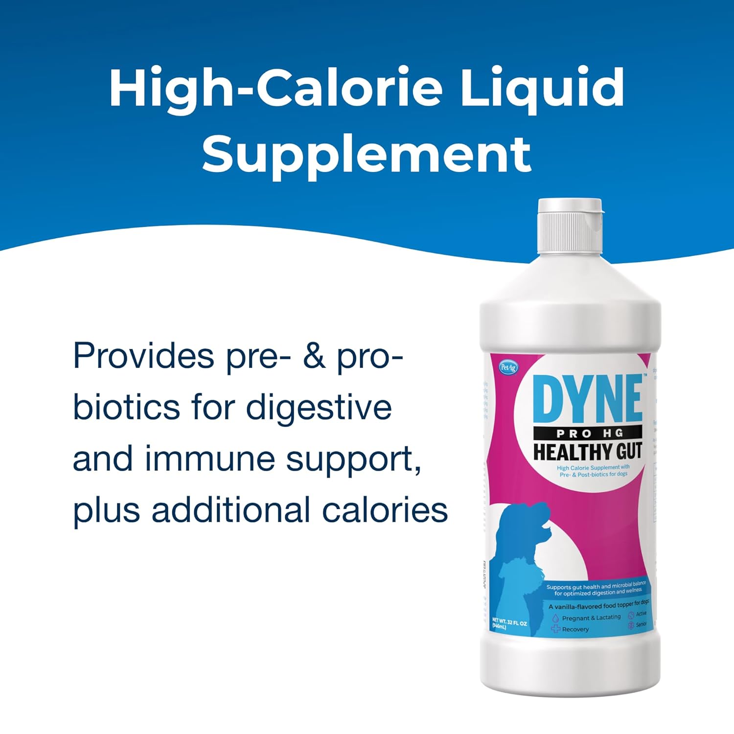 PetAg Dyne PRO HG Healthy Gut for Dogs & Puppies 8 Weeks & Older 32 oz | High Calorie Liquid Nutritional Supplement with Pre- & Post-Biotics | Supports Endurance & Gut Health