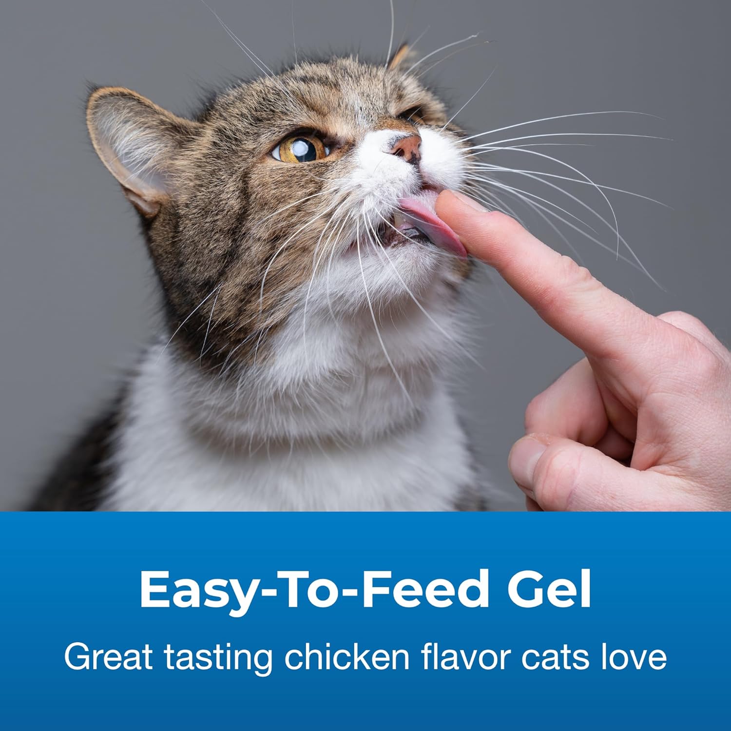 PetAg UT Solution Gel Supplement for Cats - 3.5 oz - Supports a Healthy Urinary Tract for Cats 6 Months and Older