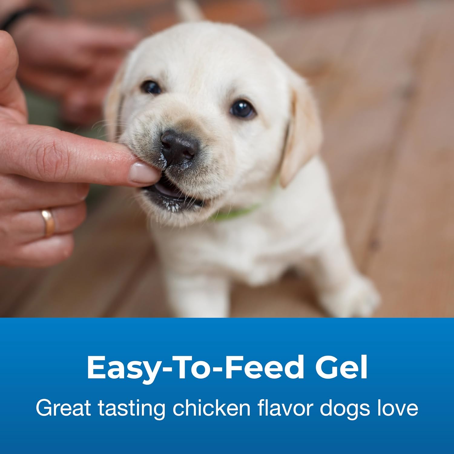 PetAg High Calorie Gel for Dogs 5 oz (141 g) | Nutritional Supplement for Underweight Dogs and Puppies | Supports Weight Gain and Energy | Tasty Easy-to-Feed Calorie Booster