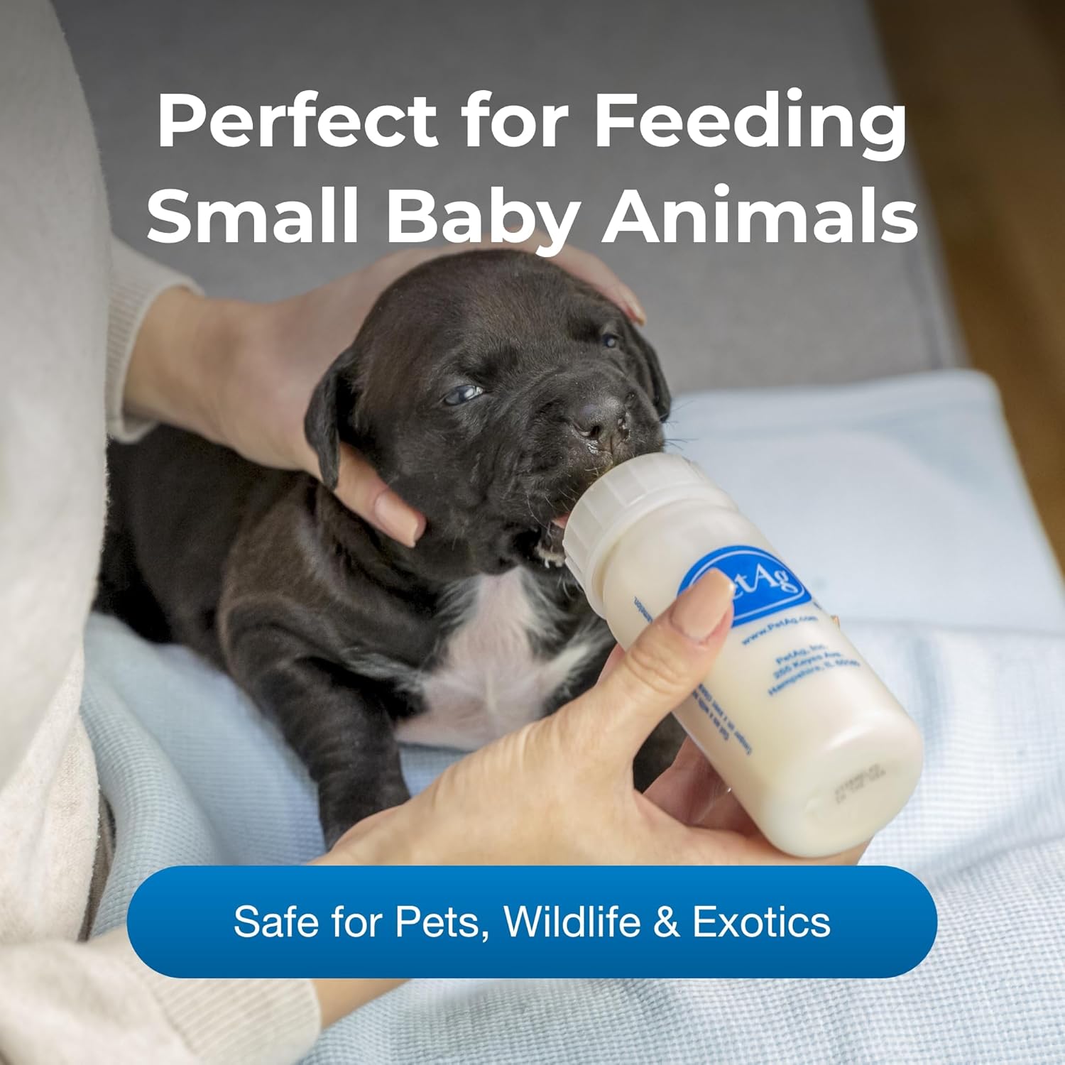 PetAg Nurser Bottle - 2 oz ad 4oz- Promotes The Natural Feeding of Liquids - Designed for Small Animals - Durable & Easy to Clean