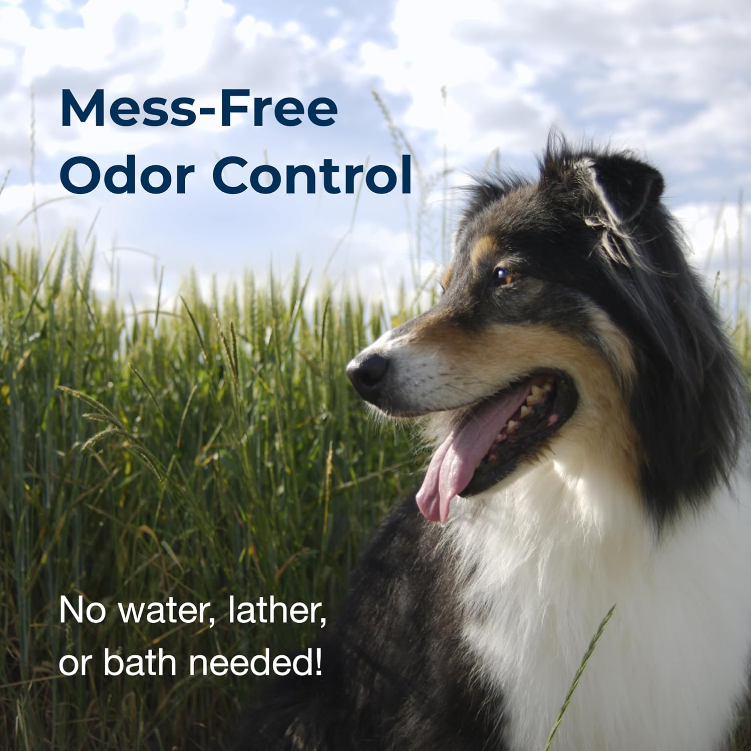 Pet-Ag Fresh ’n Clean Cologne Spray - Baby Powder Scent - 6 oz, - Controls Odor & Keeps Dogs Smelling Fresh