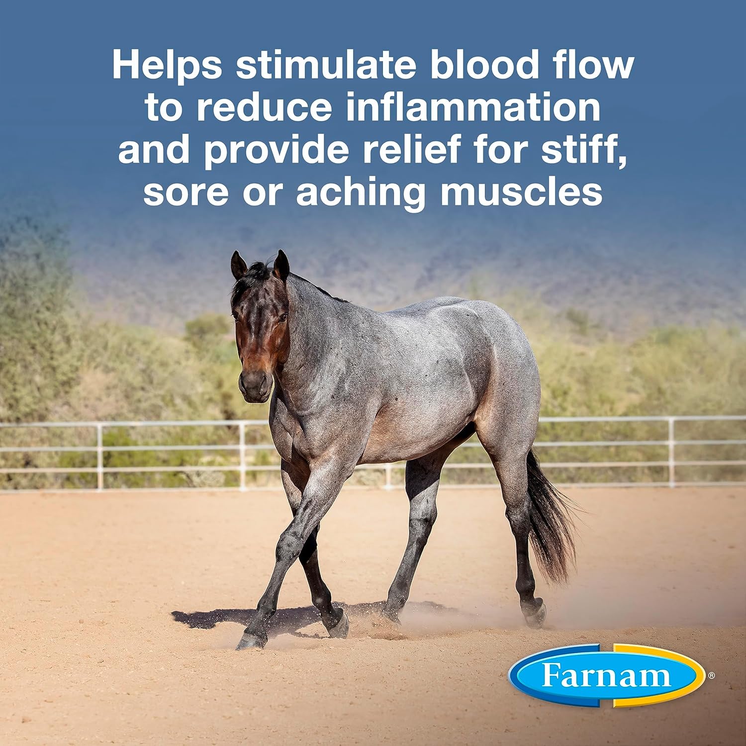 Farnam Vetrolin Horse Liniment for Muscle Soreness, Stiffness and Inflammation Relief on Horses, Helps Reduce Swelling 128 Ounces Visit the Farnam Store
