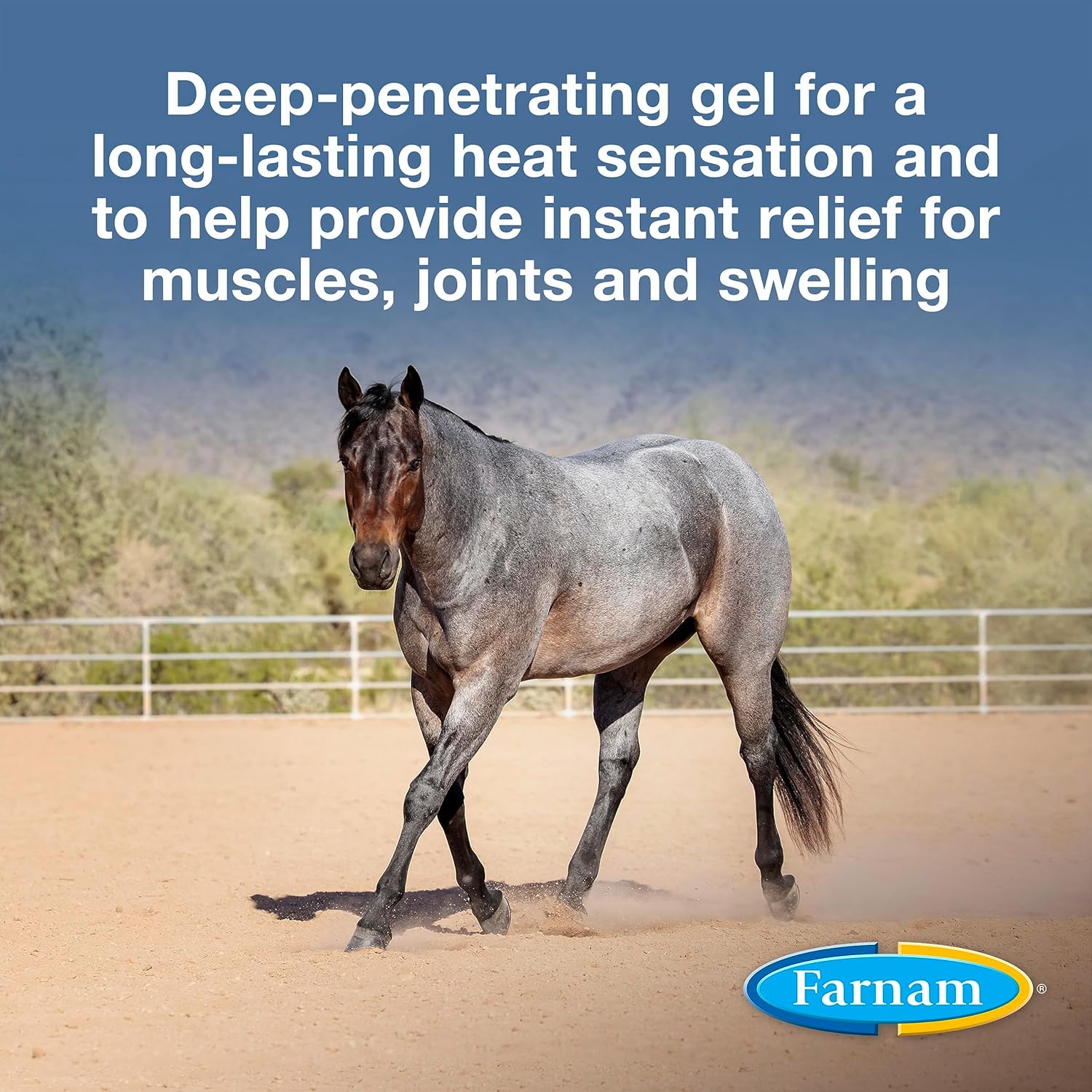 Farnam Vetrolin Liniment Gel with Hyaluronic Acid, Stimulates circulation for long - lasting heat sensation 12 oz