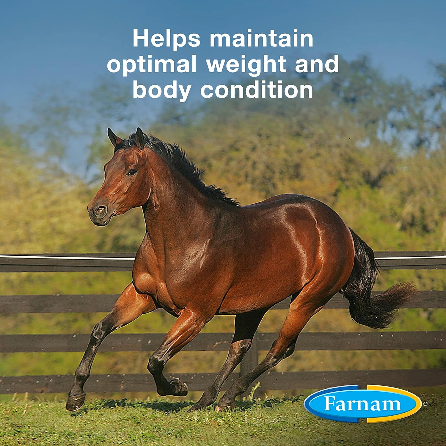 Farnam Weight Builder Horse Weight Supplement, Helps Maintain Optimal Body Condition with No Sugar Added, 7.5 Pounds, 30 Day Supply