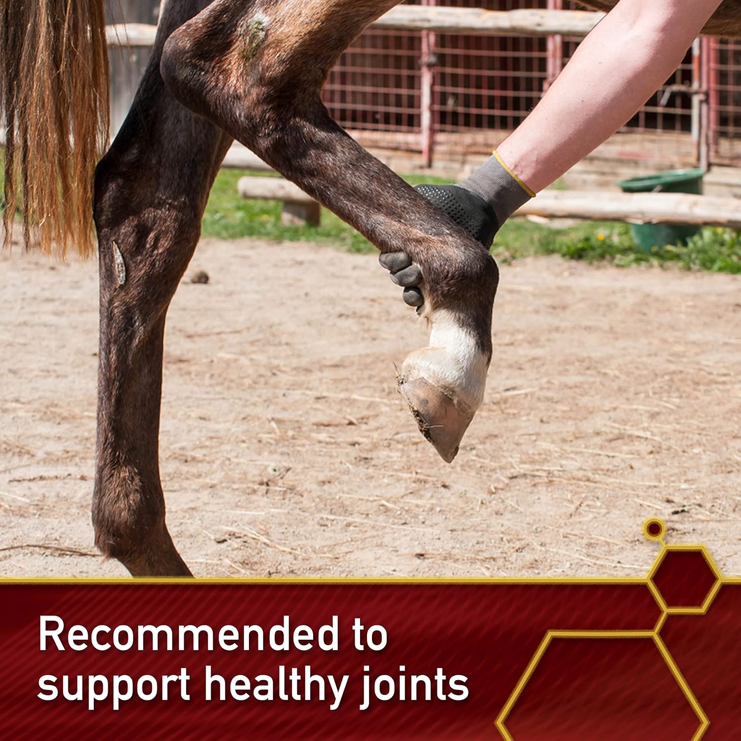 Vita Flex MSM Ultra Pure, Horse Joint Supplement- 4lb