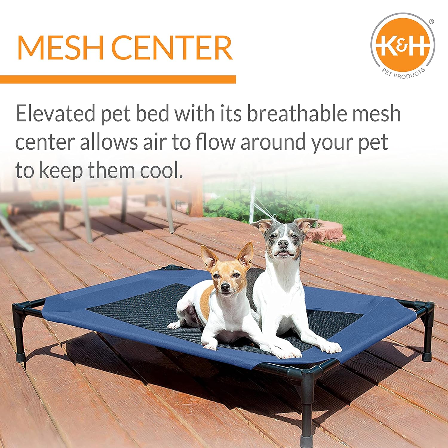 K&H Pet Products Raised Cooling Outdoor Dog Bed, Portable Elevated Dog Cot, Washable Mesh Pet Camping Gear, Heavy Duty Metal Frame Cat Hammock, Inside Outside, Small Blue/Black