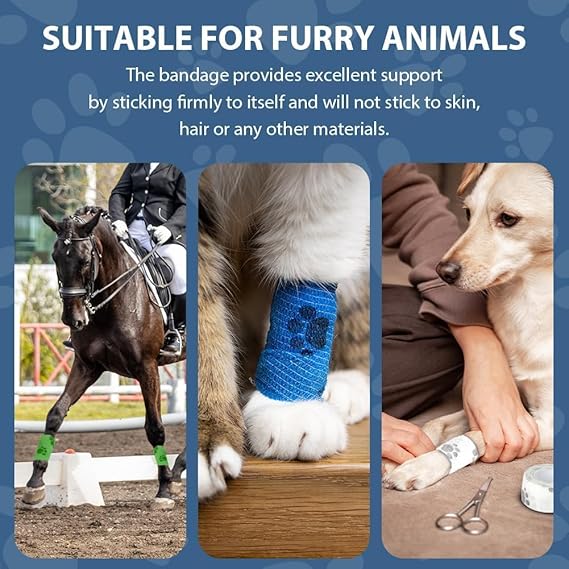 Vetmatters Petrap, Self-Adhesive, Only Sticks to Itself, Non-Woven Tape for Dog Legs, Paws, Wounds, First Aid Cohesive Gauze for Horse, Cat, Bird, Animal