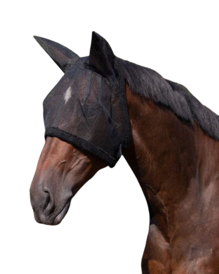 Horse Veils