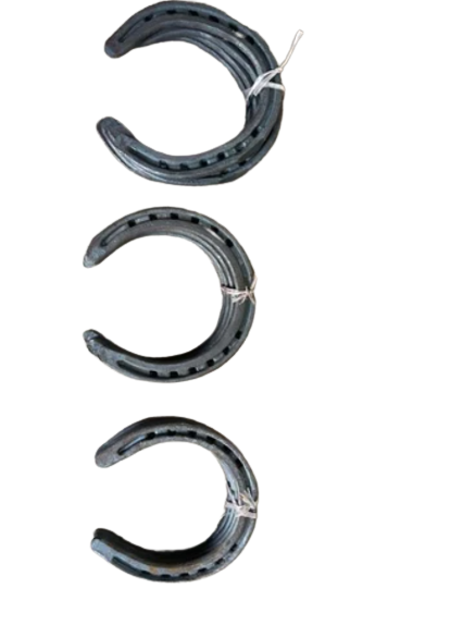 Horse Shoes