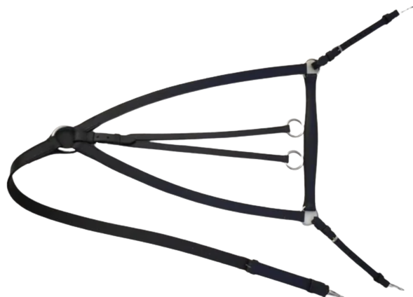 Olympic Martingale