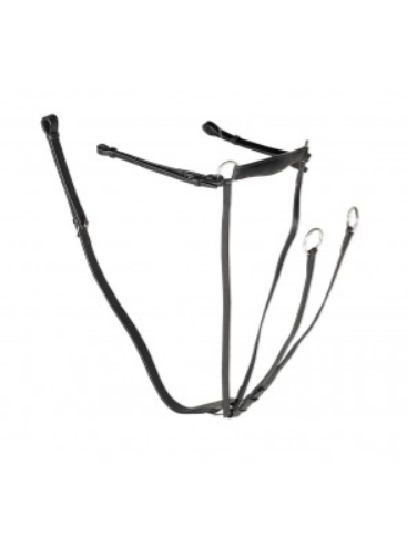 Olympic Martingale