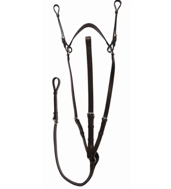 Olympic Martingale