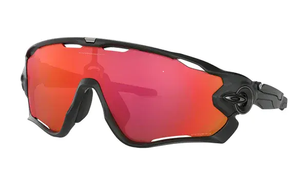 Polo Goggles