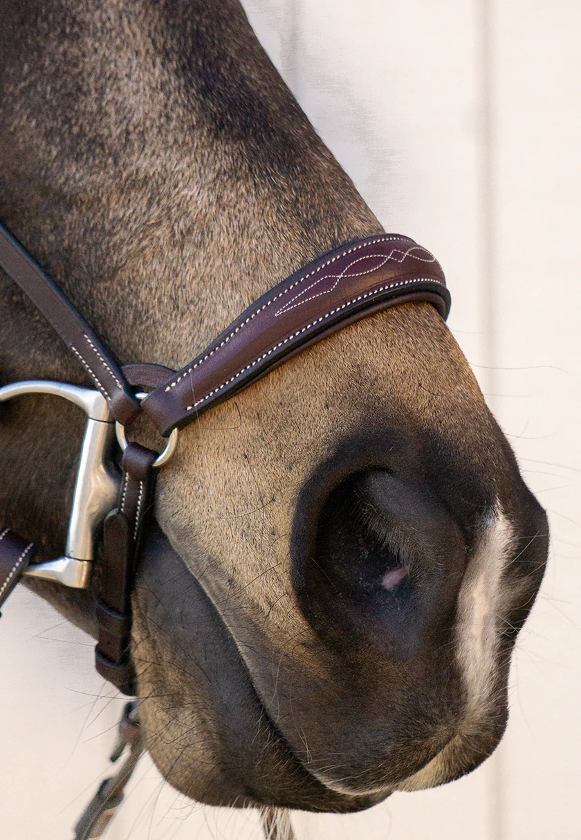 Nose Band (Drop)
