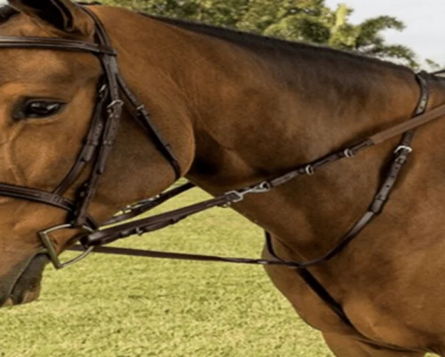 German Martingale 