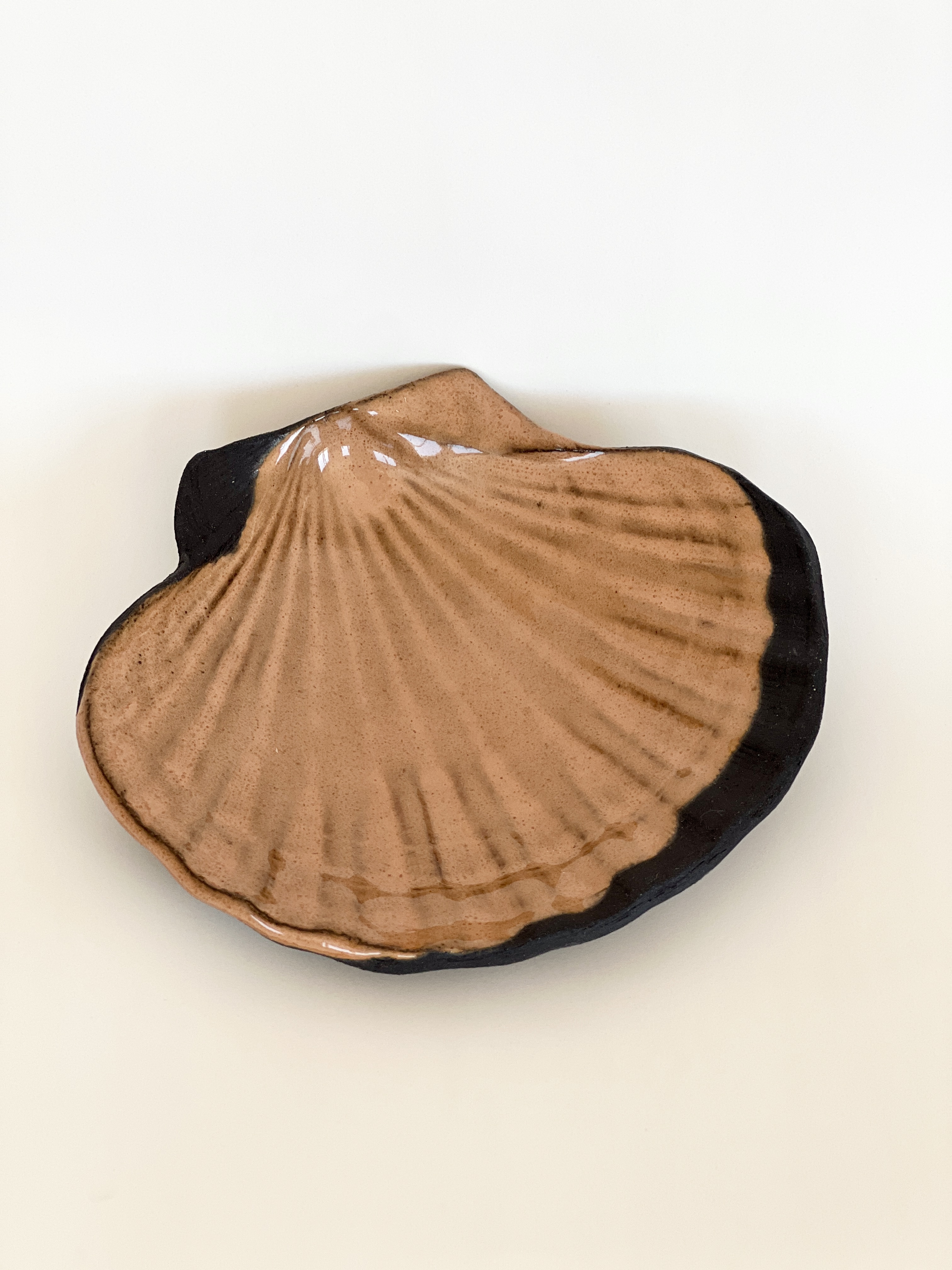 small shell bowl ~ I am the ocean