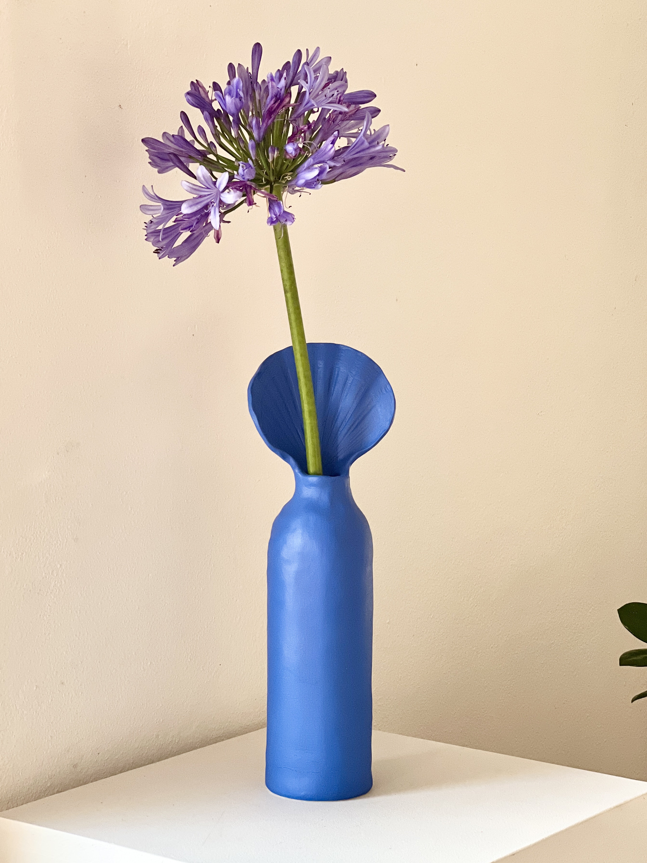 vase ~ I am the ocean