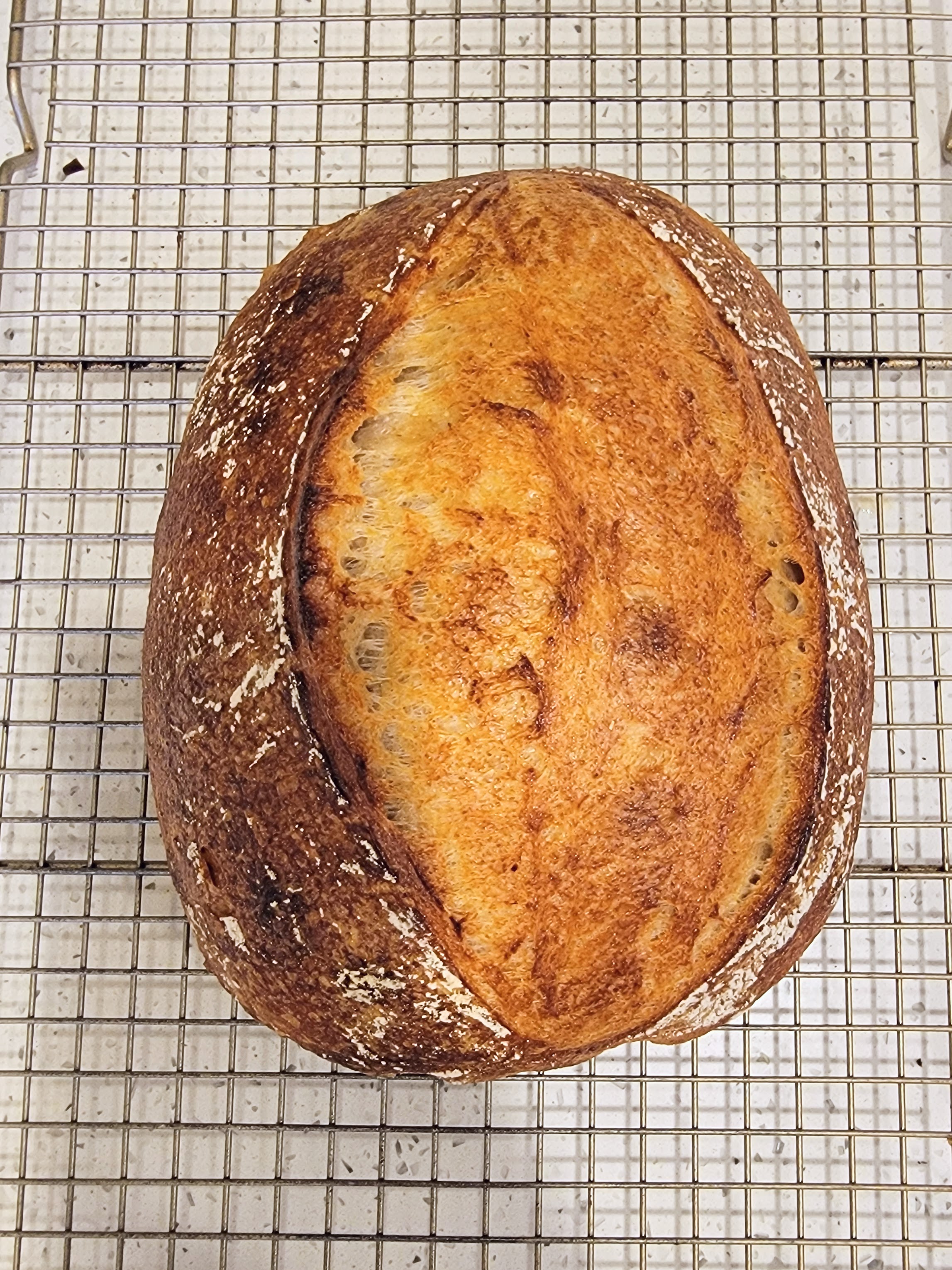 Classic Sourdough
