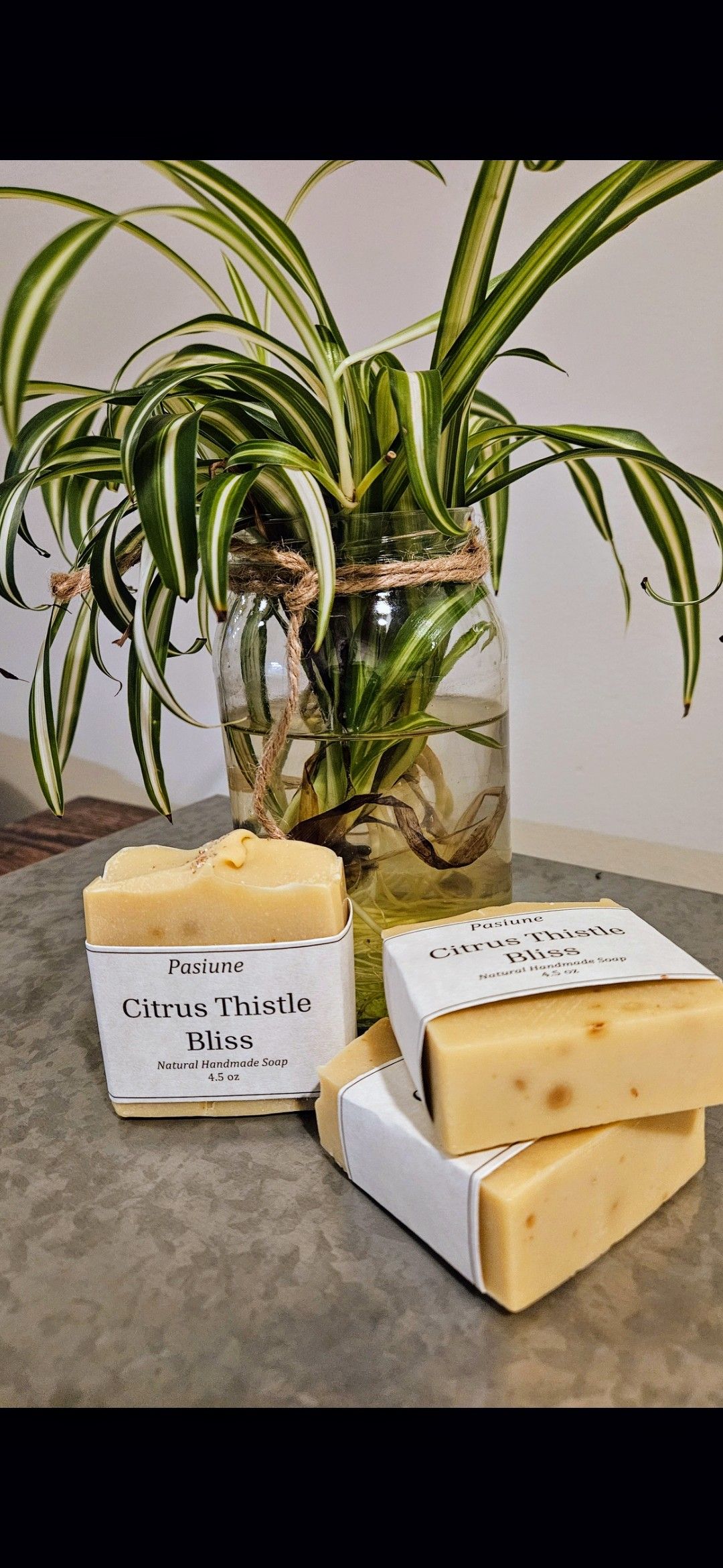 Citrus Thistle Bliss