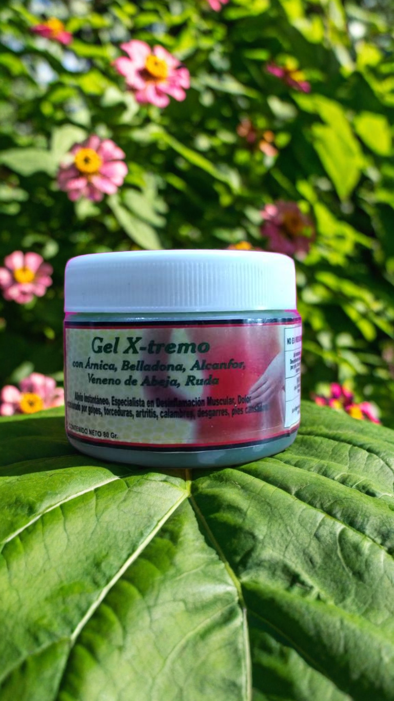 Gel X-tremo con Apitoxina (Veneno de Abeja)