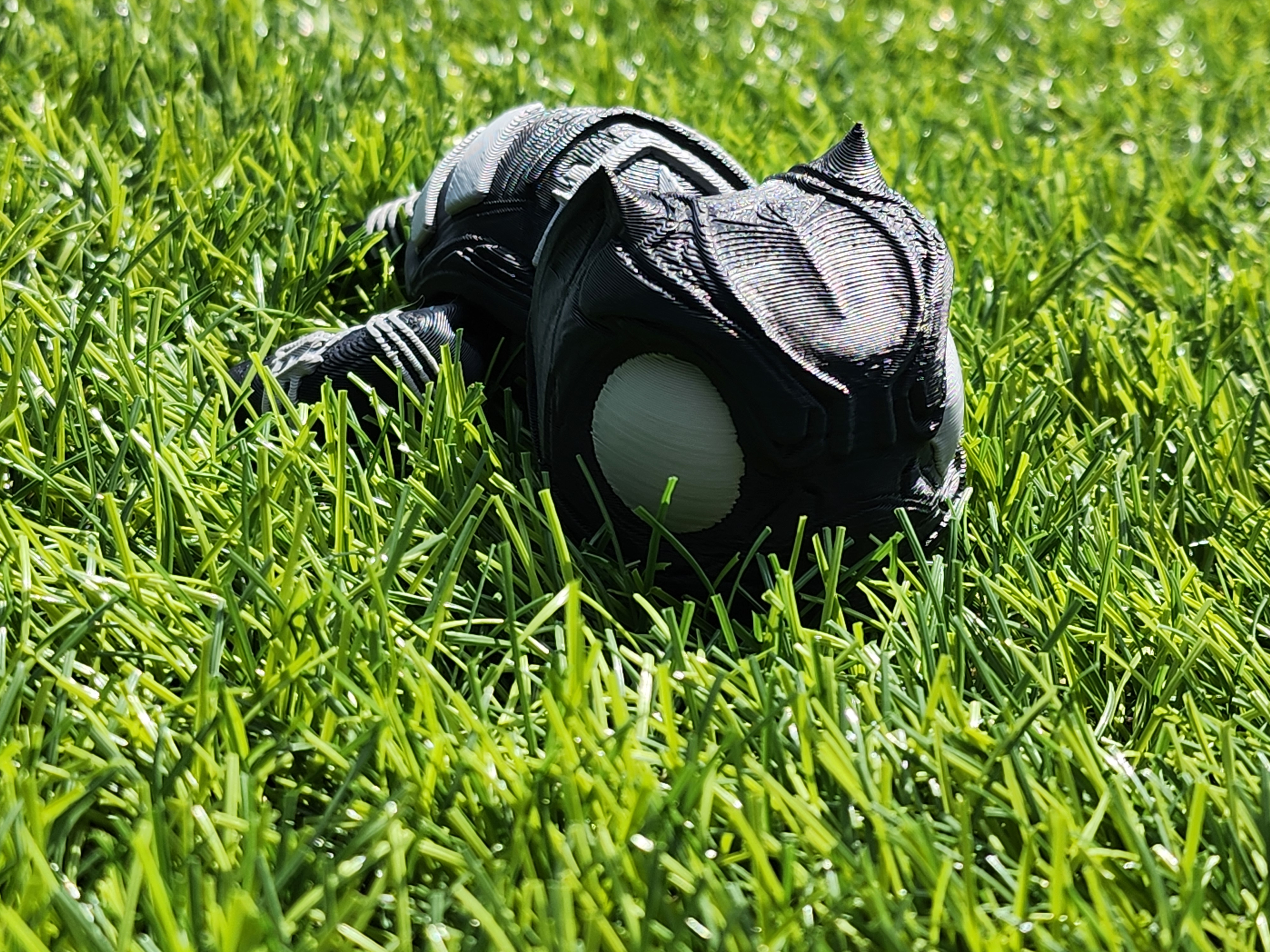 Black Panther Super Turtle