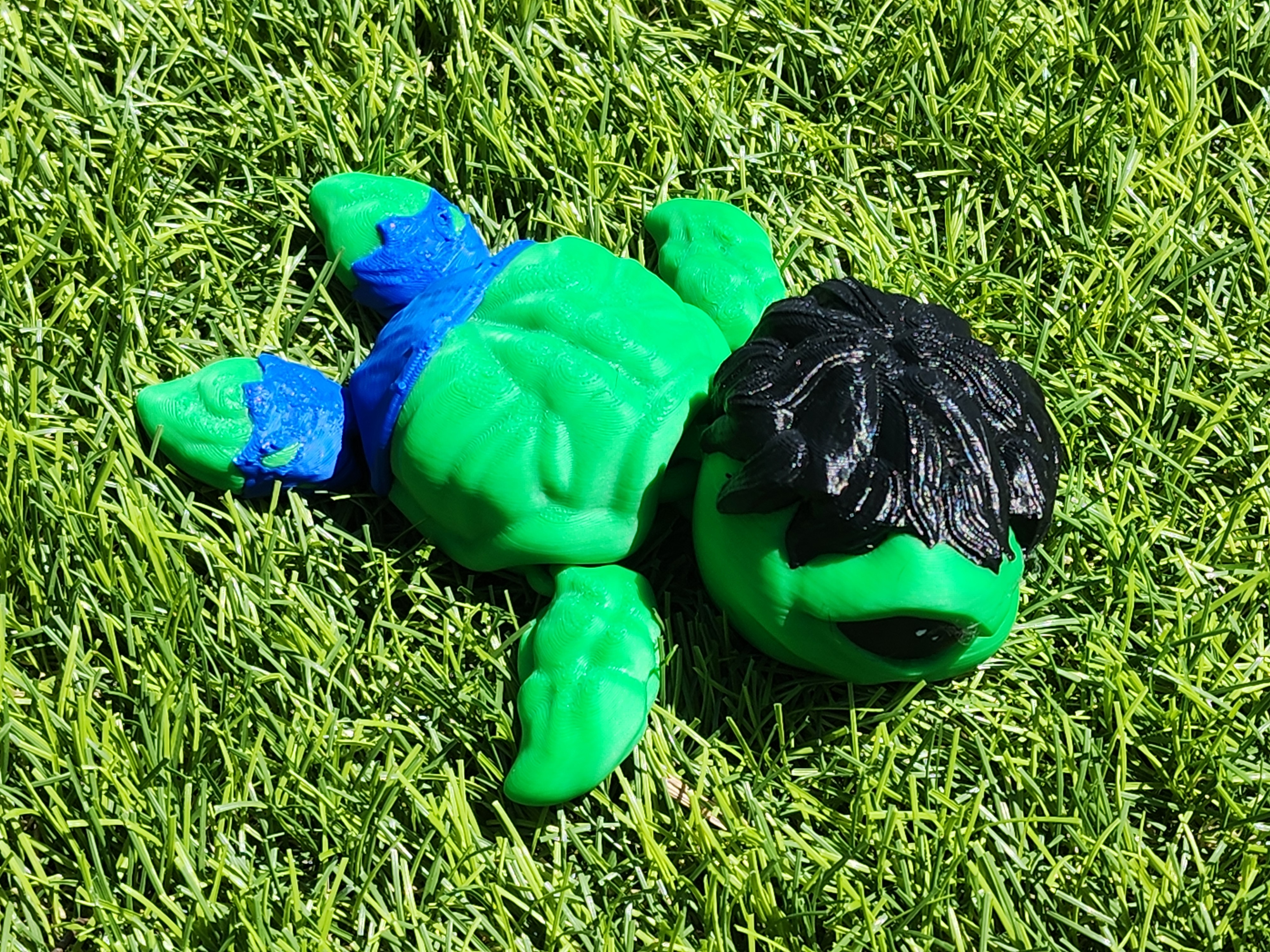 Incredible Hulk Super Turtle