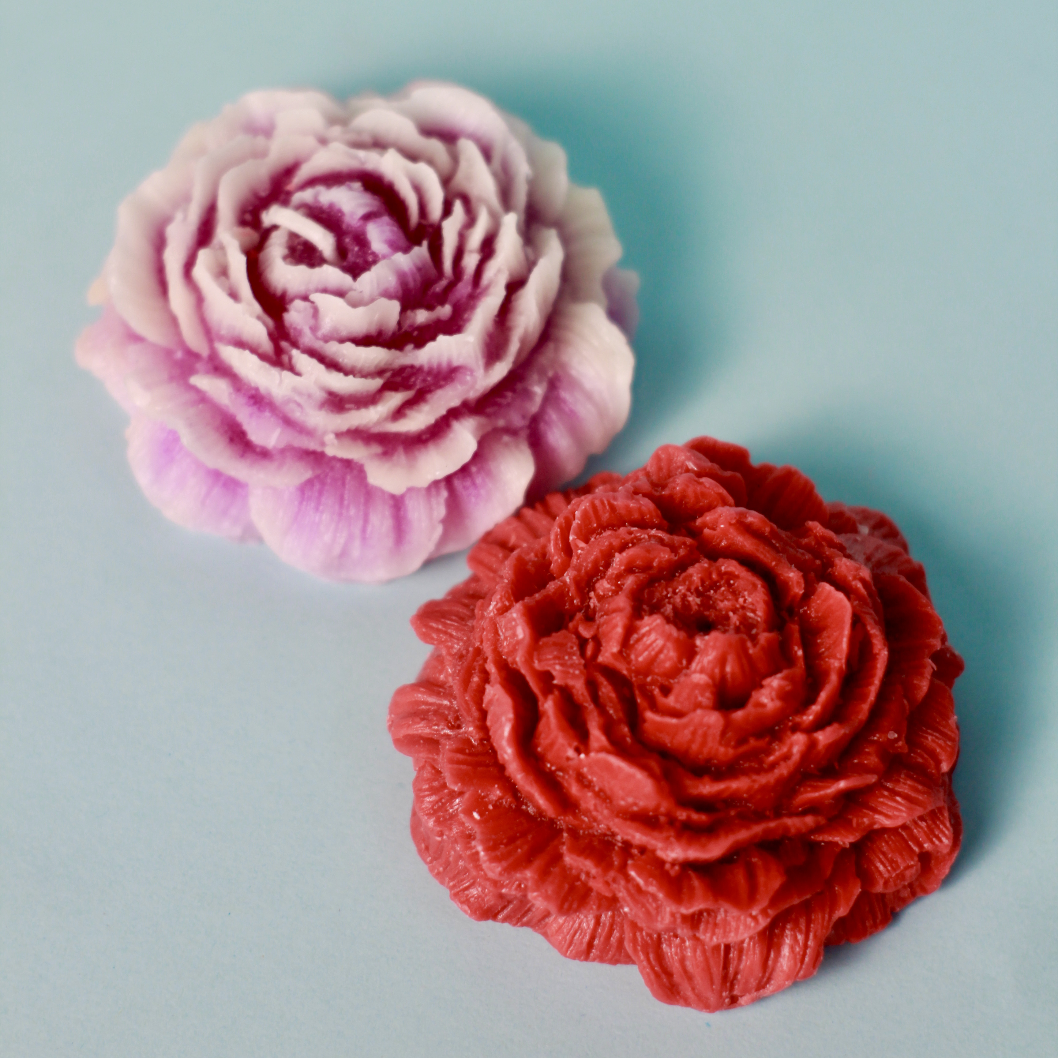 Pretty Peony