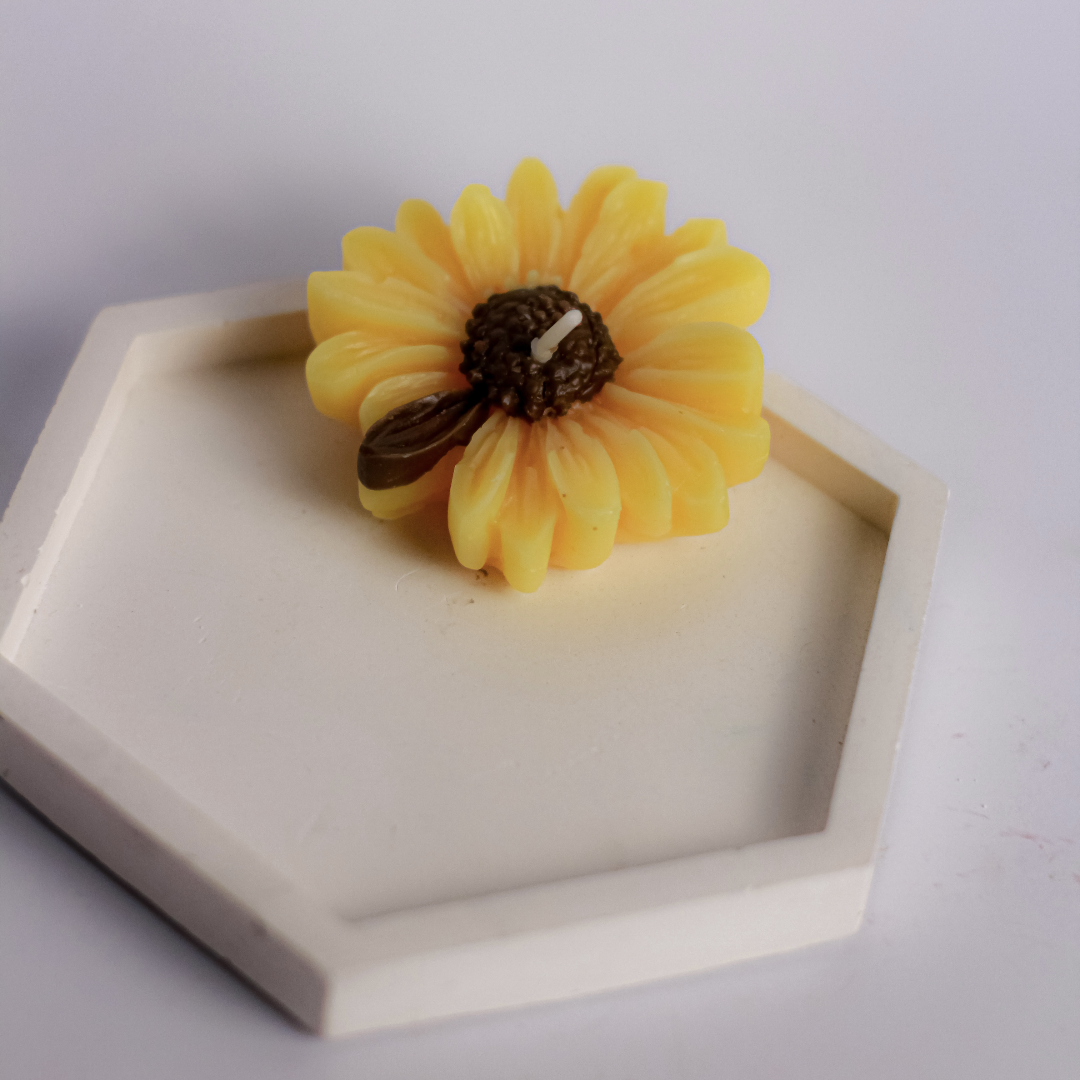 Daisy Flower