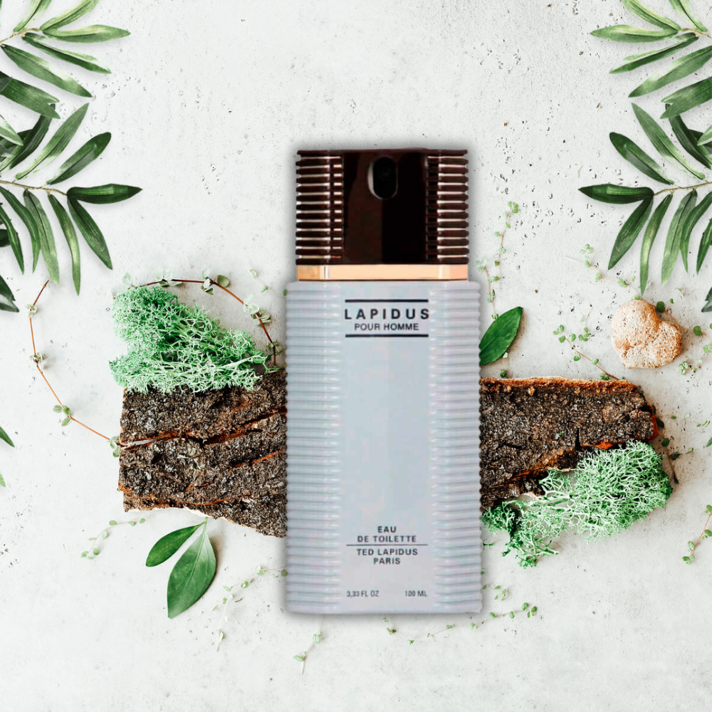 LAPIDUS HOMME 100ML EDT 
