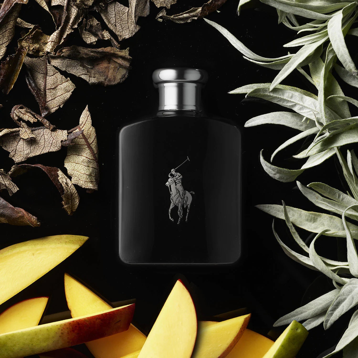 RALPH LAUREN POLO BLACK 125ML EDT