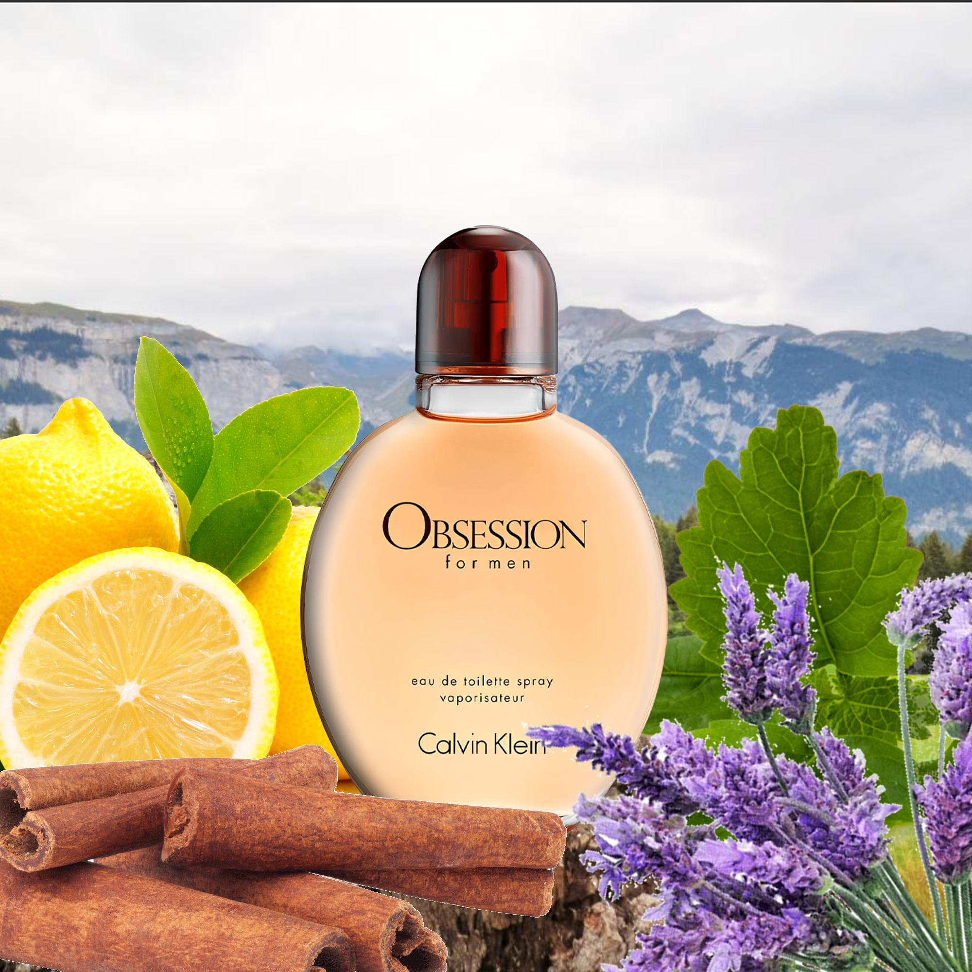 CALVIN KLEIN OBSESSION 125ML EDT