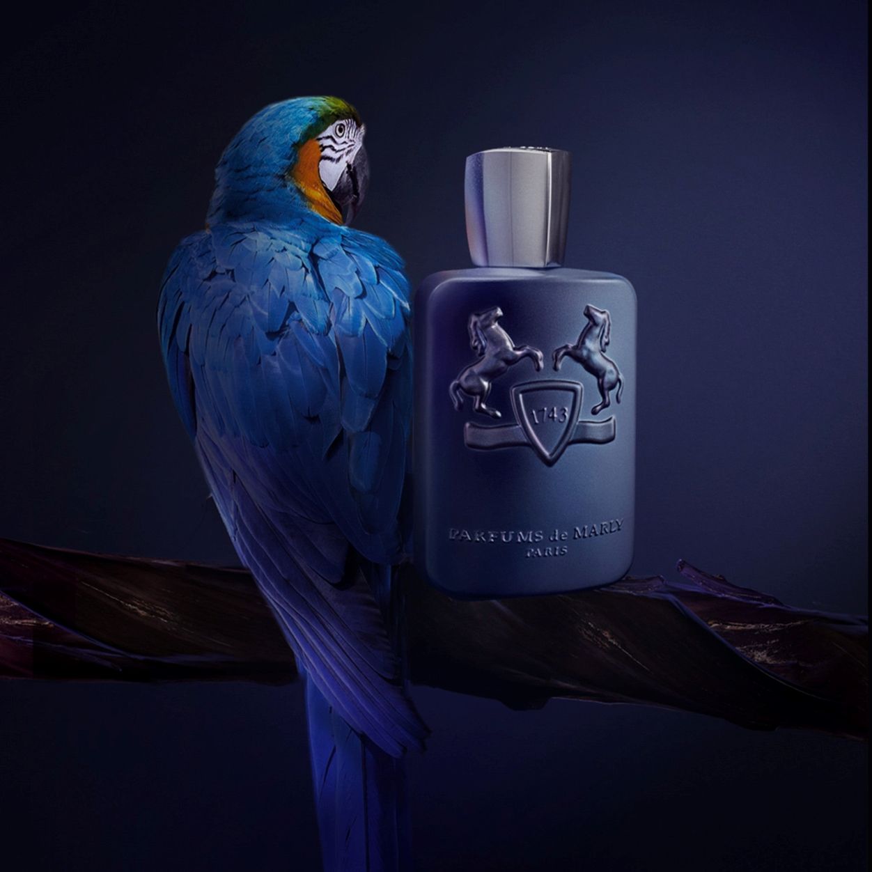 PARFUMS DE MARLY  LAYTON 125ML EDP