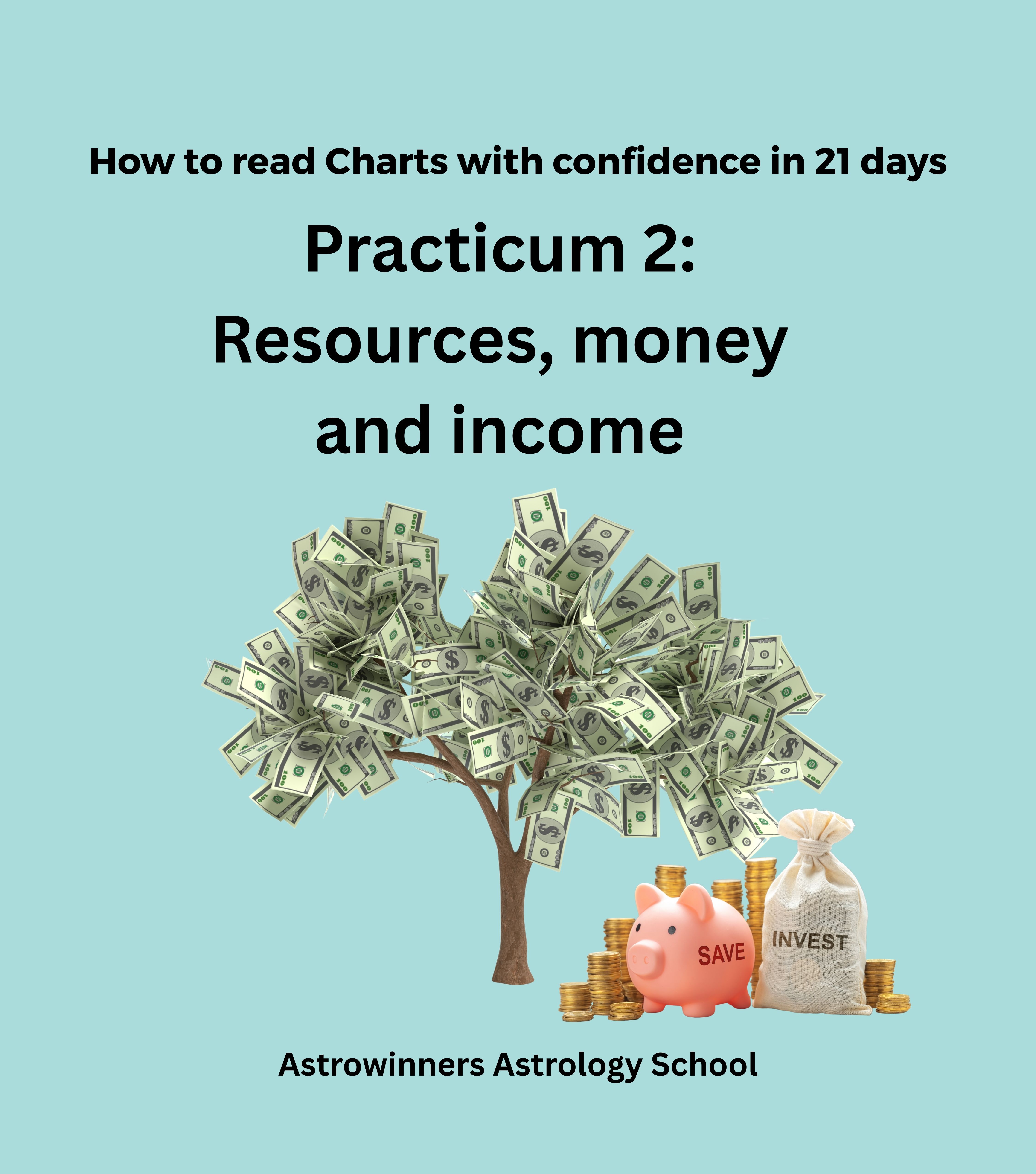 Practicum 2: Resources, money and income