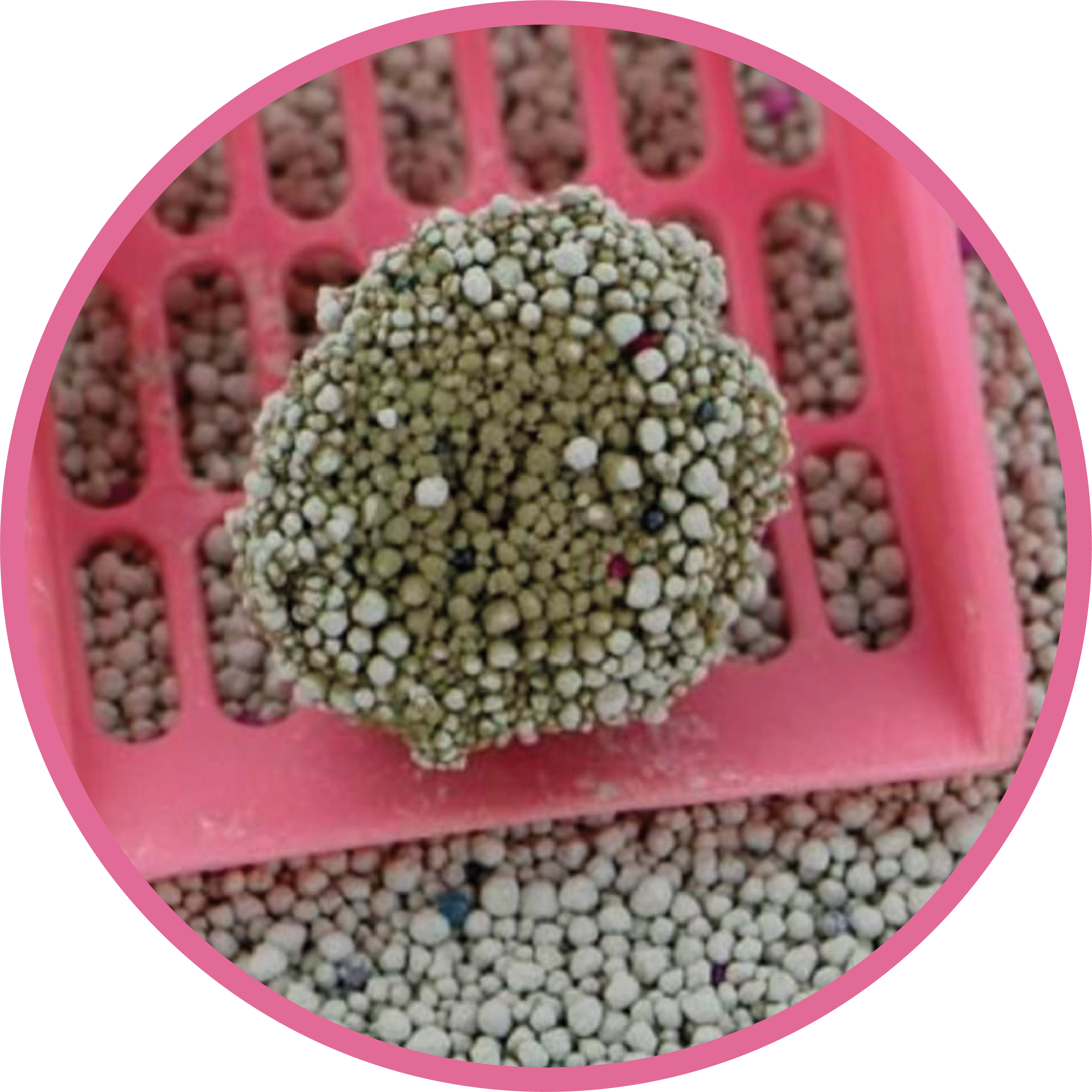 Arena Sanitaria Maru Natural 5 KG