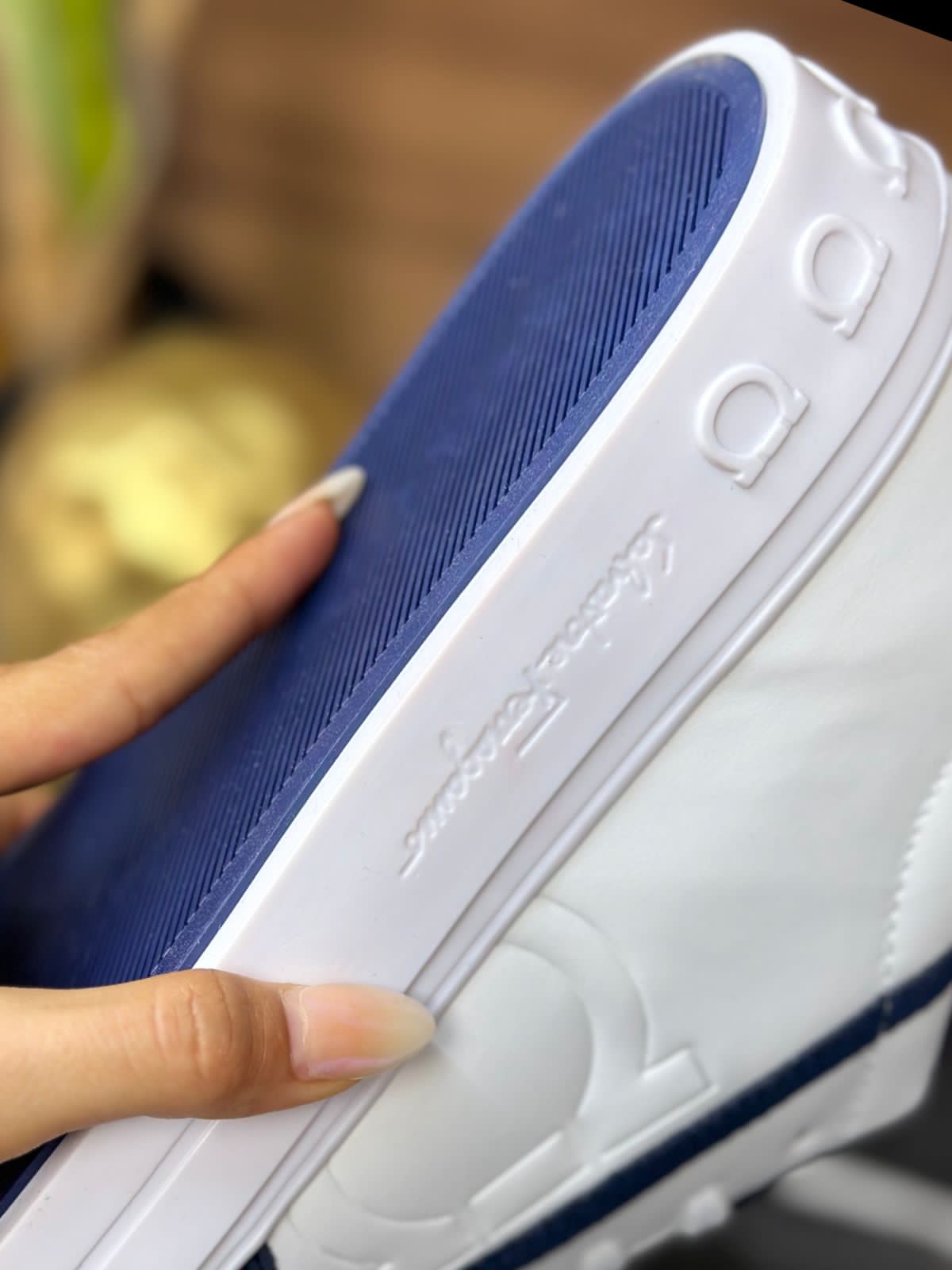 Ferragamo blanco y azul